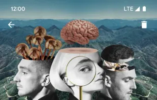 Harmonoid screenshot 1