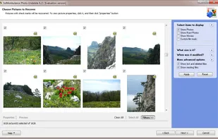 Use sort options to ease navigation through recovered data.