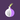 Tor Browser Private Web icon