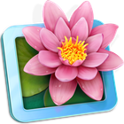 LilyView icon