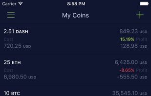 Cryptocurrency Portfolio with coins