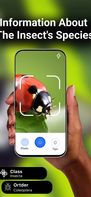 Bug ID screenshot 2