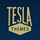 TeslaThemes Icon