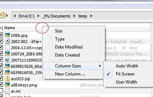 File List - Columns