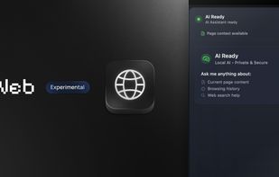 Web AI Browser screenshot 1