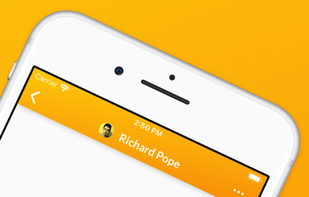 Linguistic screenshot 1