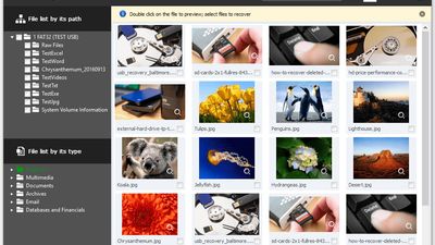 RecoveryRobot Memory Card Recovery - Thumbnail View