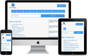 Blue Classy screenshot 1