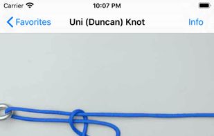 Animated Knots screenshot 3