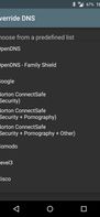 Override DNS screenshot 2