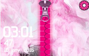 cats lock screen ziper