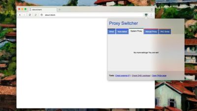 Proxy Switcher (WebExtension) screenshot 1
