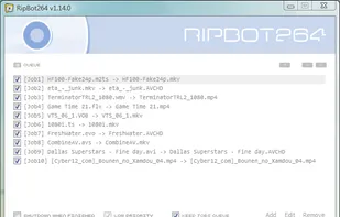 RipBot264 screenshot 1