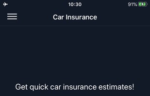 Car Insurance Calculator screenshot 1