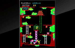 Kangaroo(Arcade Archives) screenshot 3