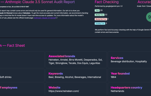 Brand Audit Report Example