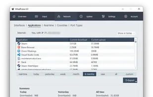 WhatPulse screenshot 3