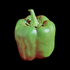Npainter icon