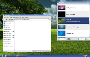 Pearl OS screenshot 2