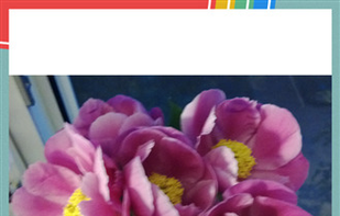 Squarify screenshot 3