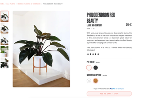 Commerce.js screenshot 3