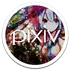 Pixiv for Muzei 3 icon