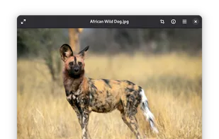 Loupe Image Viewer screenshot 1