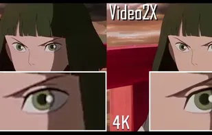 Video2X screenshot 1