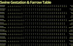 RatedCalculator.com screenshot 1