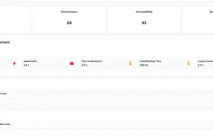 Light house google page speed data shown for website page