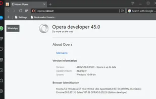 Opera Developer 45.0