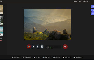 The Watermarkup application interface.