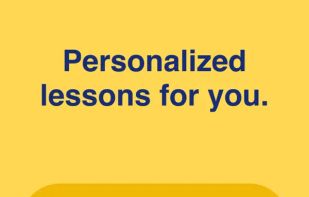 Rosetta Stone screenshot 3