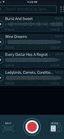 WireTap Riff Recorder screenshot 1