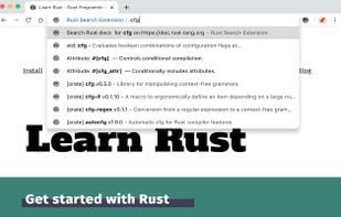 Rust Search Extension screenshot 3