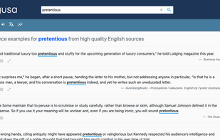 lengusa screenshot 3