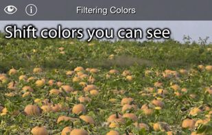 Color Blind Pal screenshot 1