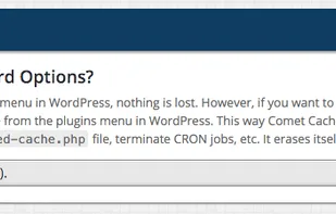 Comet Cache screenshot 1
