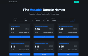 Your Next Domain Demo