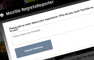 RegretsReporter screenshot 2