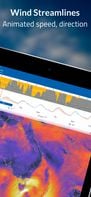 Flowx - Weather screenshot 2