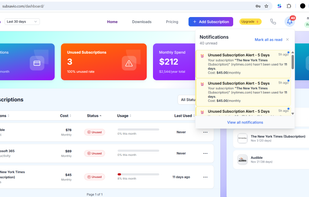 Subsavio Client Dashboard