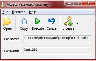 Access Password Recovery screenshot 1