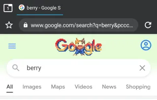 Berry Browser screenshot 2