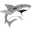 JAWS icon
