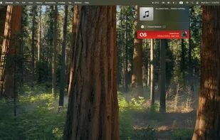 Audioscrobbler screenshot 2