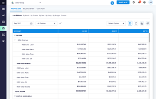 P&L and Balance sheet