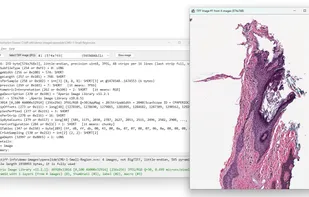AlgART TIFF Information Viewer screenshot 1