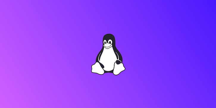 A new NetFilter security flaw has been discovered in the Linux Kernel image