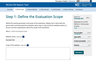 WCAG EM Report Tool screenshot 1